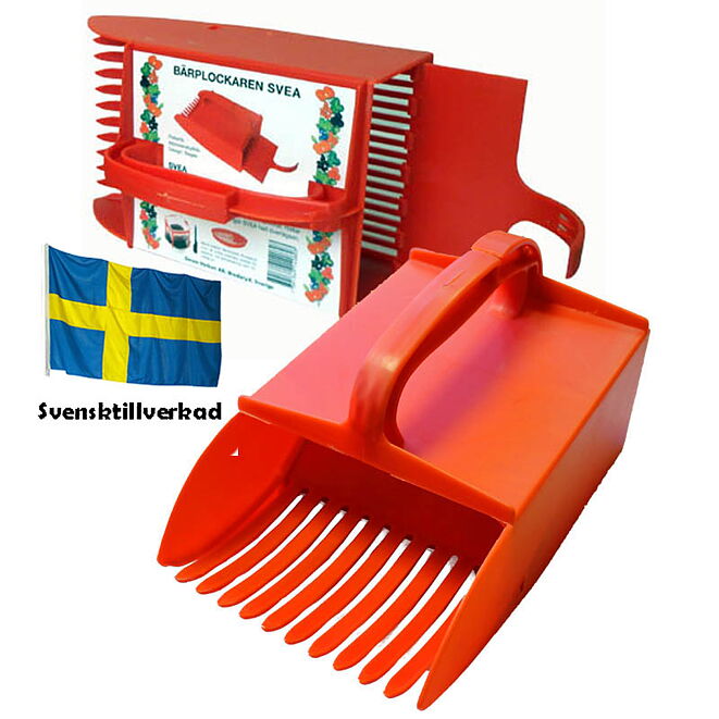 Bärplockare