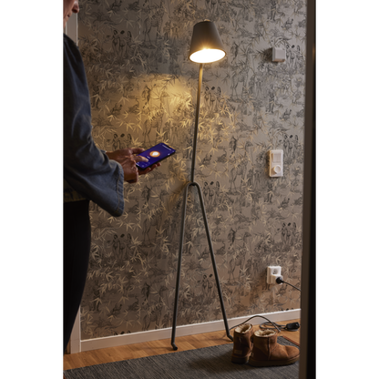 LED-lampa E27 G95 Smart Bulb